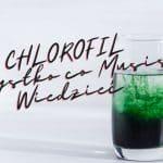 Chlorofil i Jego 10 Niesamowitych Właściwości - Co to Jest i czy ma Także Skutki Uboczne