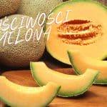 Melon - Właściwości i Wartości Odżywcze