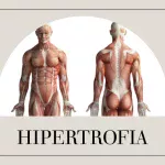 Hipertrofia Mięśniowa – Co To Takiego?